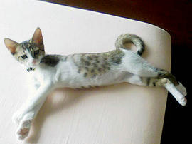 PAP_0157.jpg