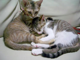 IMGP6655.jpg