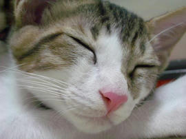 IMGP6640.jpg