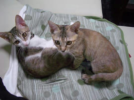 IMGP6900.jpg
