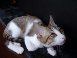 IMGP7007.jpg