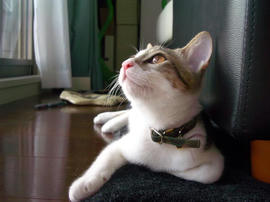 IMGP7037.jpg