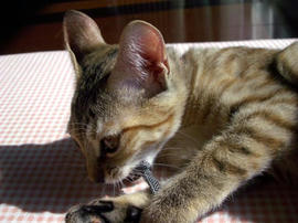 IMGP7134.jpg