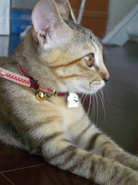 IMGP7135.jpg