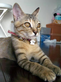 IMGP7138.jpg