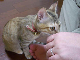 IMGP7255.jpg