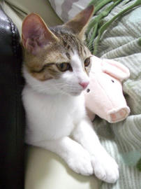 IMGP7349.jpg