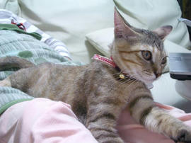 IMGP7355.jpg