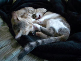 IMGP7423.jpg
