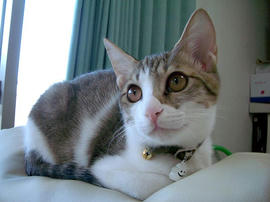 IMGP7450.jpg