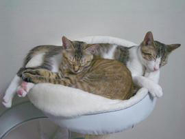 IMGP7525.jpg