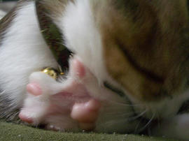 IMGP7546.jpg