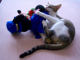 IMGP7555.jpg