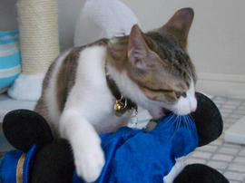 IMGP7558.jpg