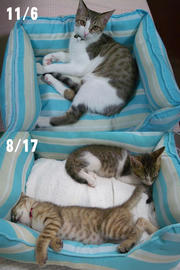 IMGP7615.jpg