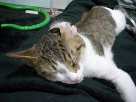 IMGP7776.jpg