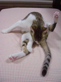 IMGP7940.jpg