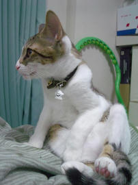 IMGP7974.jpg