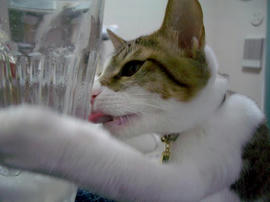 IMGP7989.jpg
