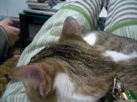 IMGP8002.jpg