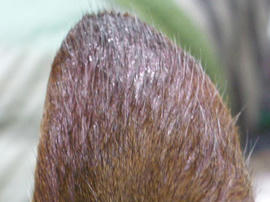 IMGP8003.jpg
