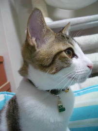 IMGP8007.jpg