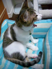 IMGP8010.jpg