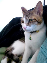 IMGP8076.jpg