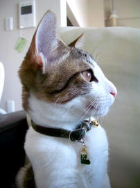 IMGP8107.jpg