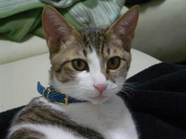 IMGP8231.jpg