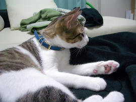 IMGP8224.jpg