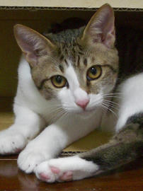 IMGP8504.jpg