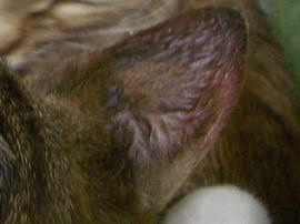 IMGP8563.jpg