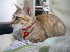 IMGP8589.jpg