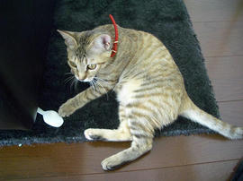 IMGP8614.jpg
