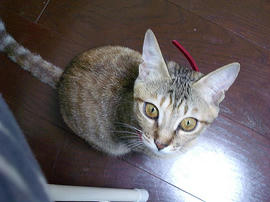 IMGP8620.jpg