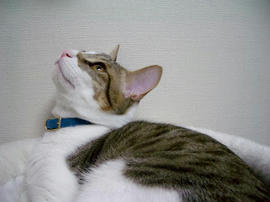 IMGP8623.jpg