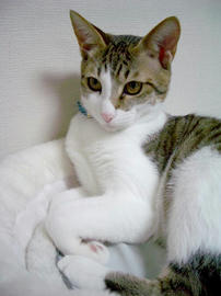 IMGP8628.jpg