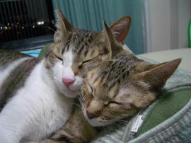 IMGP8686.jpg