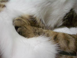 IMGP8735.jpg