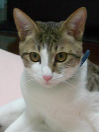 IMGP8796.jpg