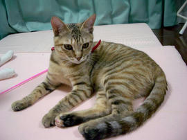 IMGP8800.jpg