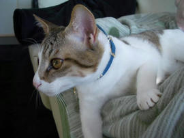 IMGP8829.jpg