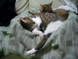 IMGP8854.jpg