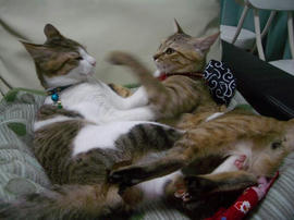 IMGP8894.jpg