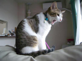 IMGP8902.jpg
