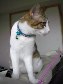 IMGP8909.jpg