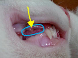 IMGP8931.jpg