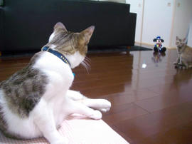 IMGP8982.jpg