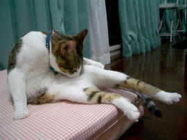 IMGP8985.jpg